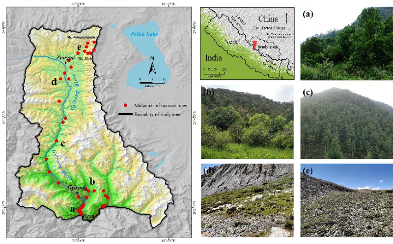 Researchers reveal the elevational patterns of bird functional and phylogenetic structure in the central Himalaya